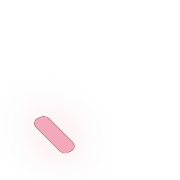 256