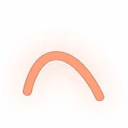029