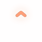 231