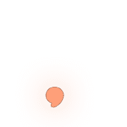 245