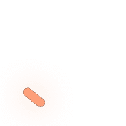 256