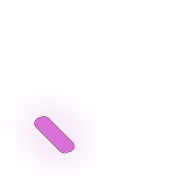 256