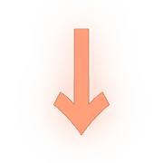 261