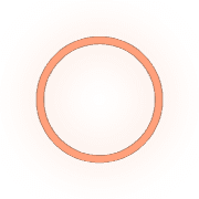 264