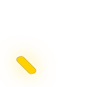 256