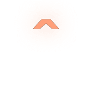 231