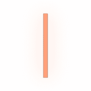 242