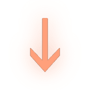 261