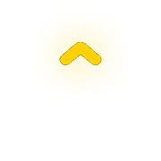 231