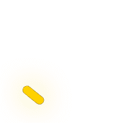 256