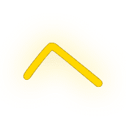 029