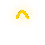 231