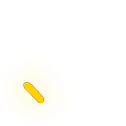 256
