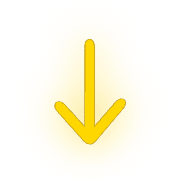 261