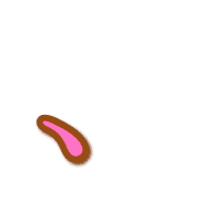 256