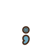 243
