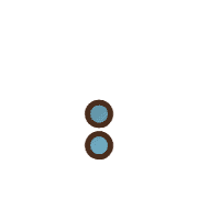 244
