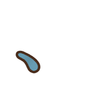 256