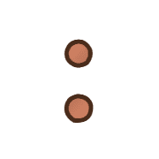 244