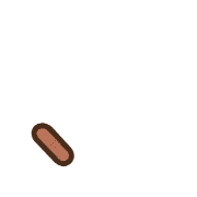256