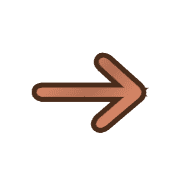 262