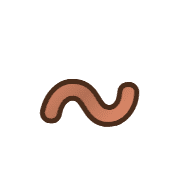 224