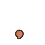 245