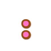 244
