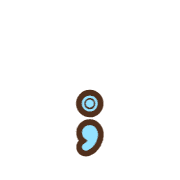 243