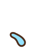 256