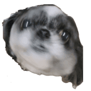 002