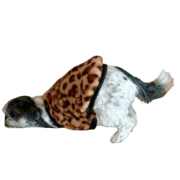 031