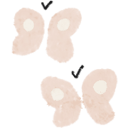 009