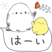 006