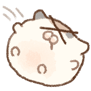 019
