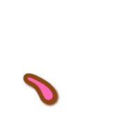 256