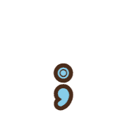 243