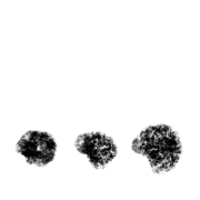 096