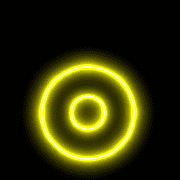 041