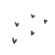 005