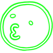 016