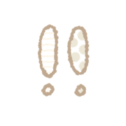 009