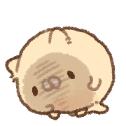 031