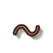 224