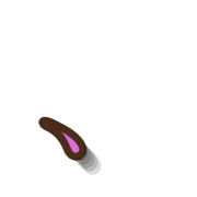 256