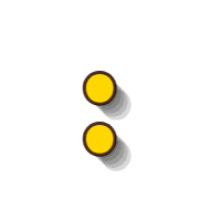 244