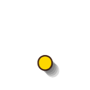 246