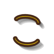010