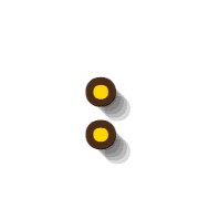 244