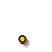 245